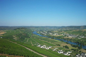 Panorama Brauneberg